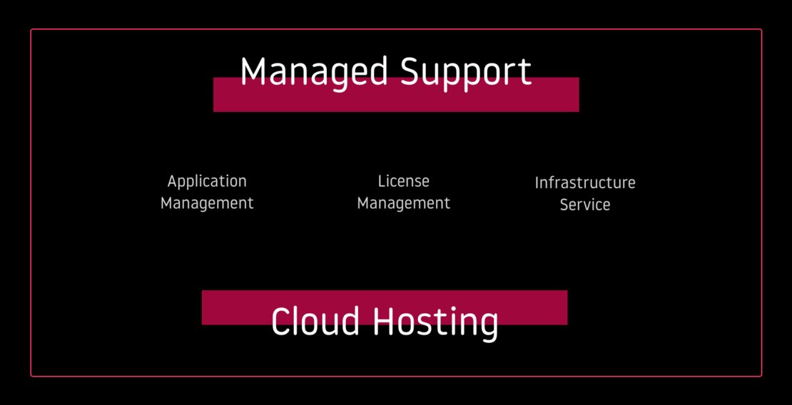 Managed Support: Application Management - License Management - Infrastructure Service: Cloud Hosting
